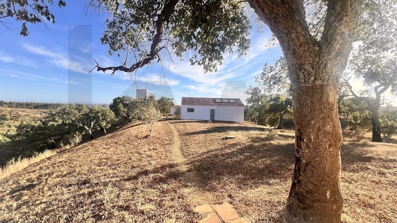 Quinta T2 para Venda em São Francisco da Serra Foto 9