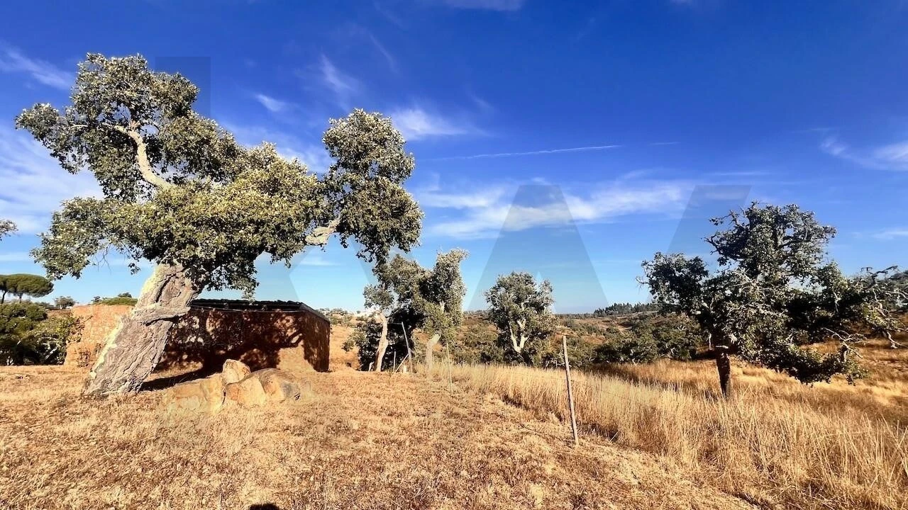 Quinta T2 para Venda em São Francisco da Serra Foto 25