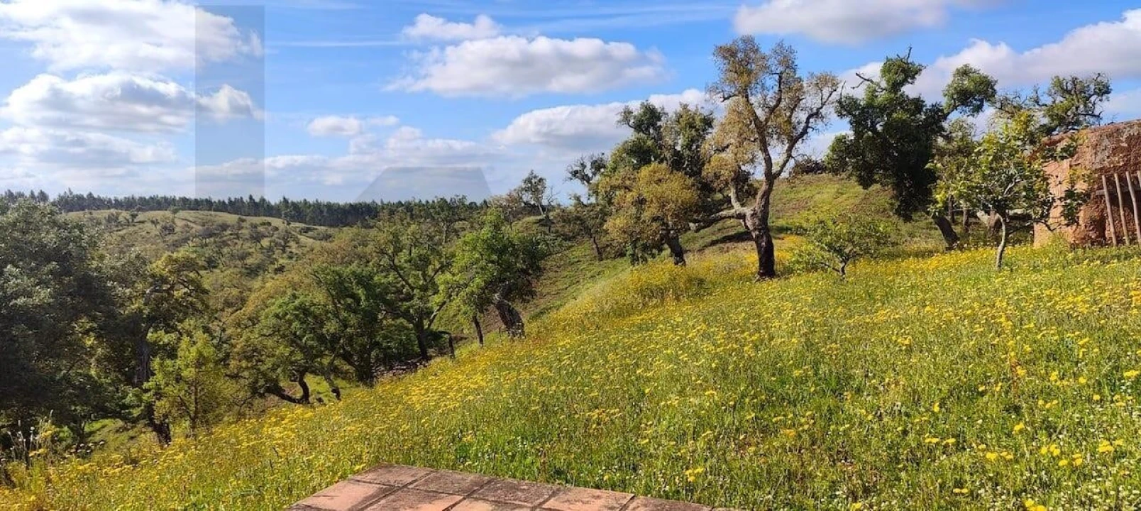 Quinta T2 para Venda em São Francisco da Serra Foto 104