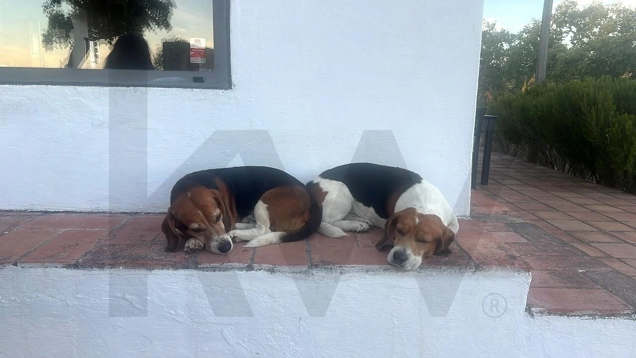 Quinta T2 para Venda em São Francisco da Serra Foto 13