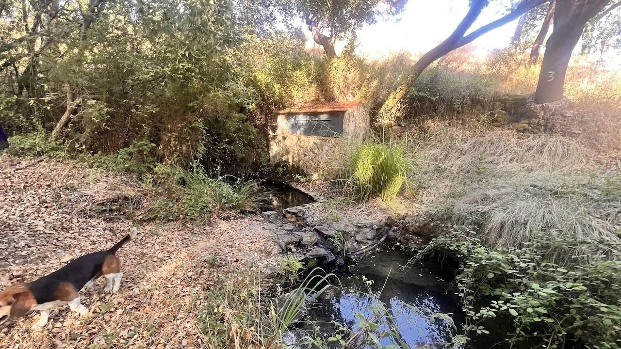 Quinta T2 para Venda em São Francisco da Serra Foto 17