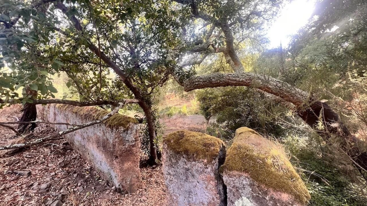 Quinta T2 para Venda em São Francisco da Serra Foto 19