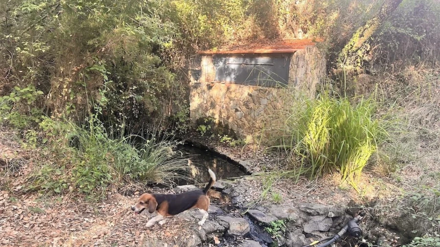 Quinta T2 para Venda em São Francisco da Serra Foto 16