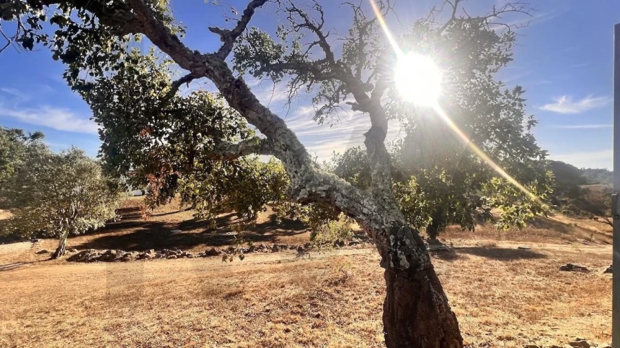 Quinta T2 para Venda em São Francisco da Serra Foto 71