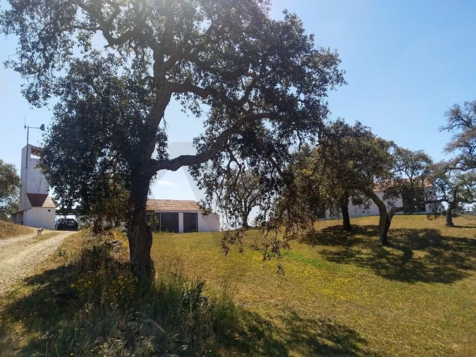 Quinta T2 para Venda em São Francisco da Serra Foto 95