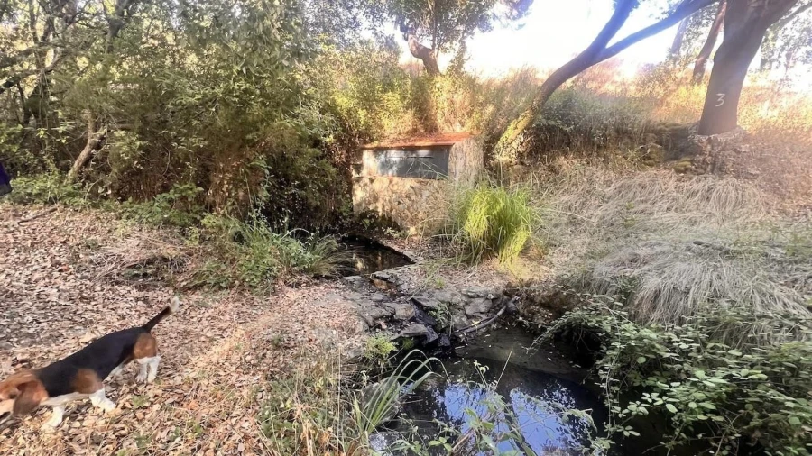 Quinta T2 para Venda em São Francisco da Serra Foto 17