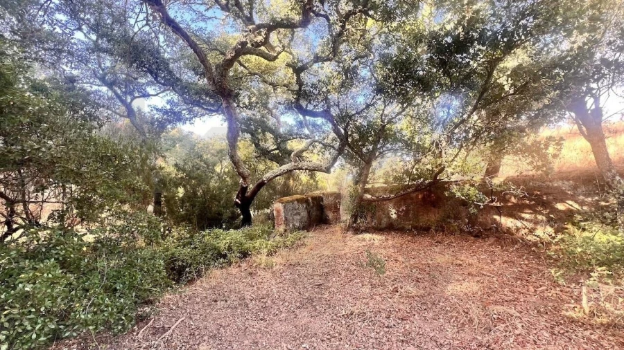 Quinta T2 para Venda em São Francisco da Serra Foto 20