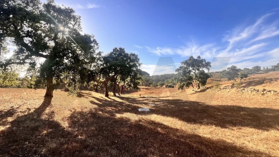 Quinta T2 para Venda em São Francisco da Serra Foto 50