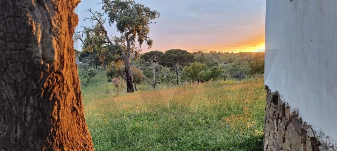 Quinta T2 para Venda em São Francisco da Serra Foto 102
