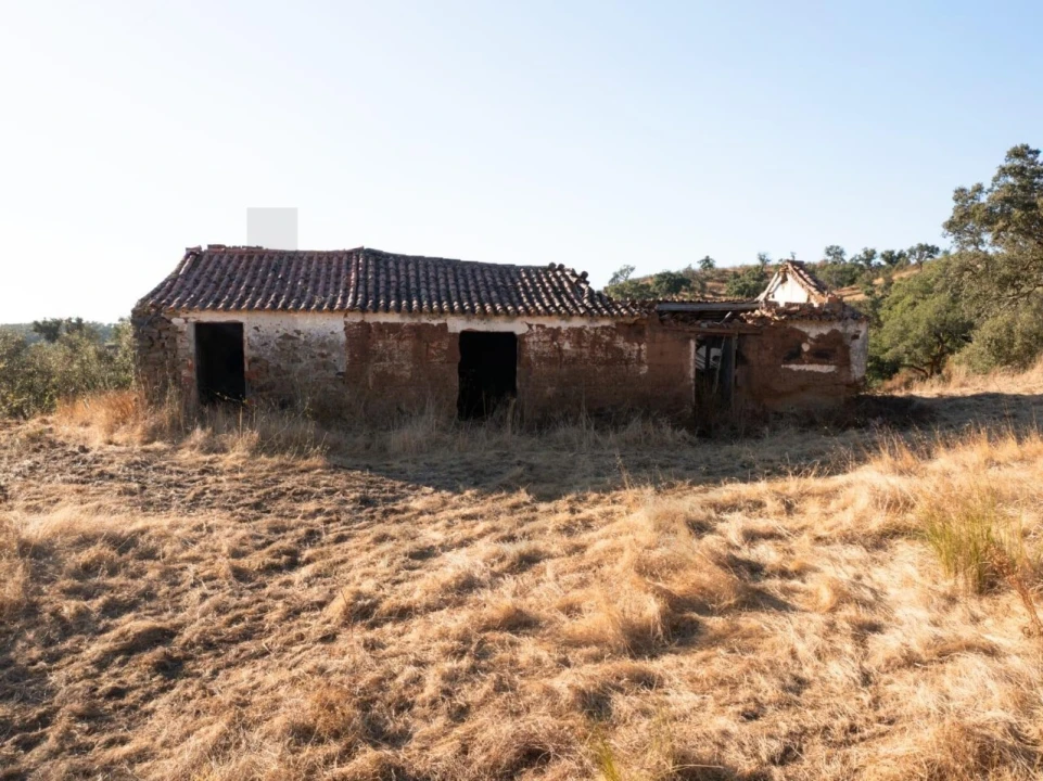 Quinta para Venda em Abela Foto 1