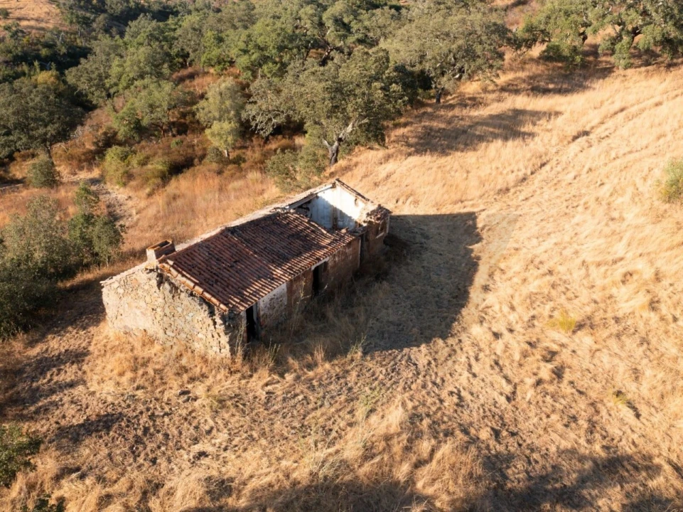 Quinta para Venda em Abela Foto 4