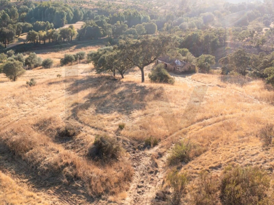 Quinta para Venda em Abela Foto 5