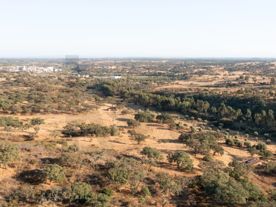 Quinta para Venda em Abela Foto 8