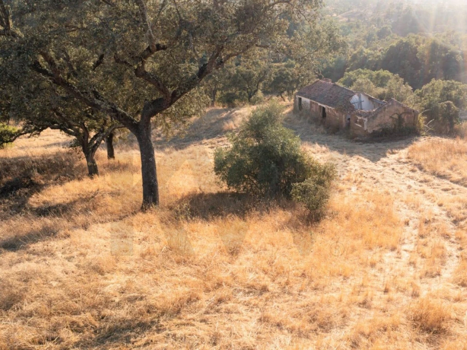 Quinta para Venda em Abela Foto 9