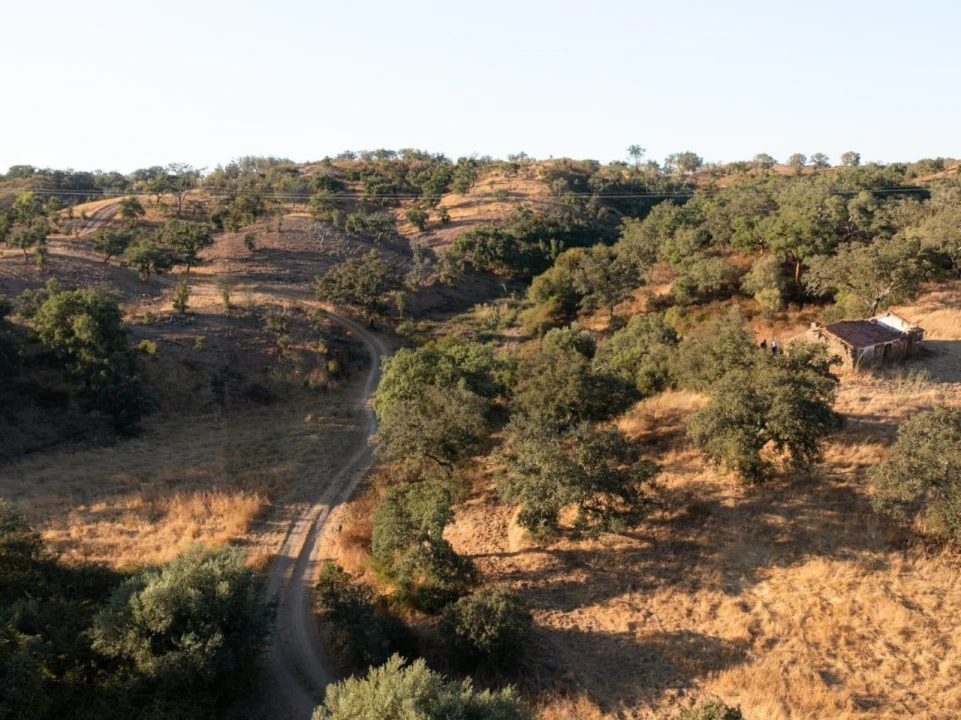 Quinta para Venda em Abela Foto 15