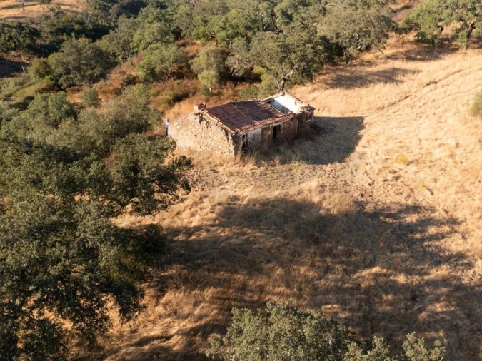 Quinta para Venda em Abela Foto 3