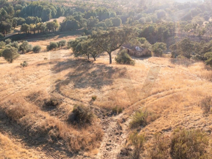 Quinta para Venda em Abela Foto 5