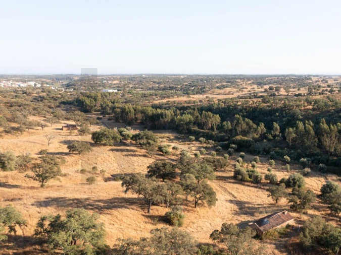Quinta para Venda em Abela Foto 6