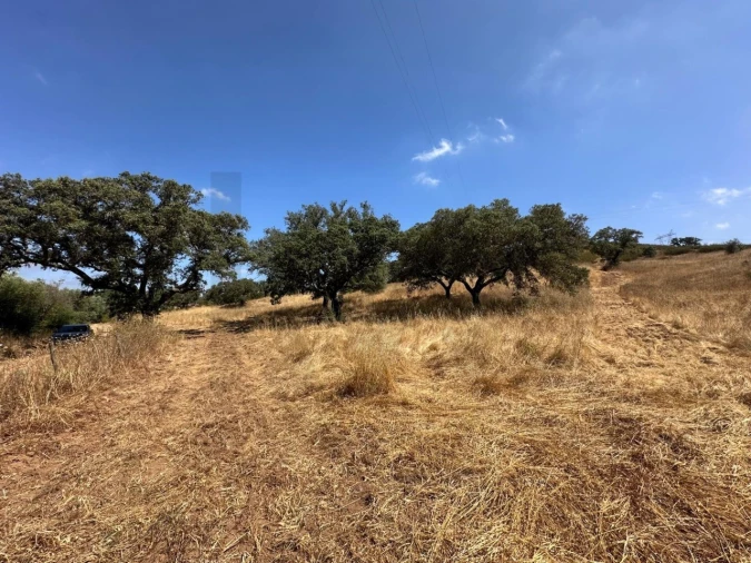 Quinta para Venda em Abela Foto 22