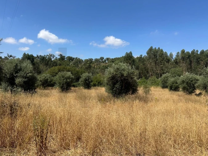 Quinta para Venda em Abela Foto 25