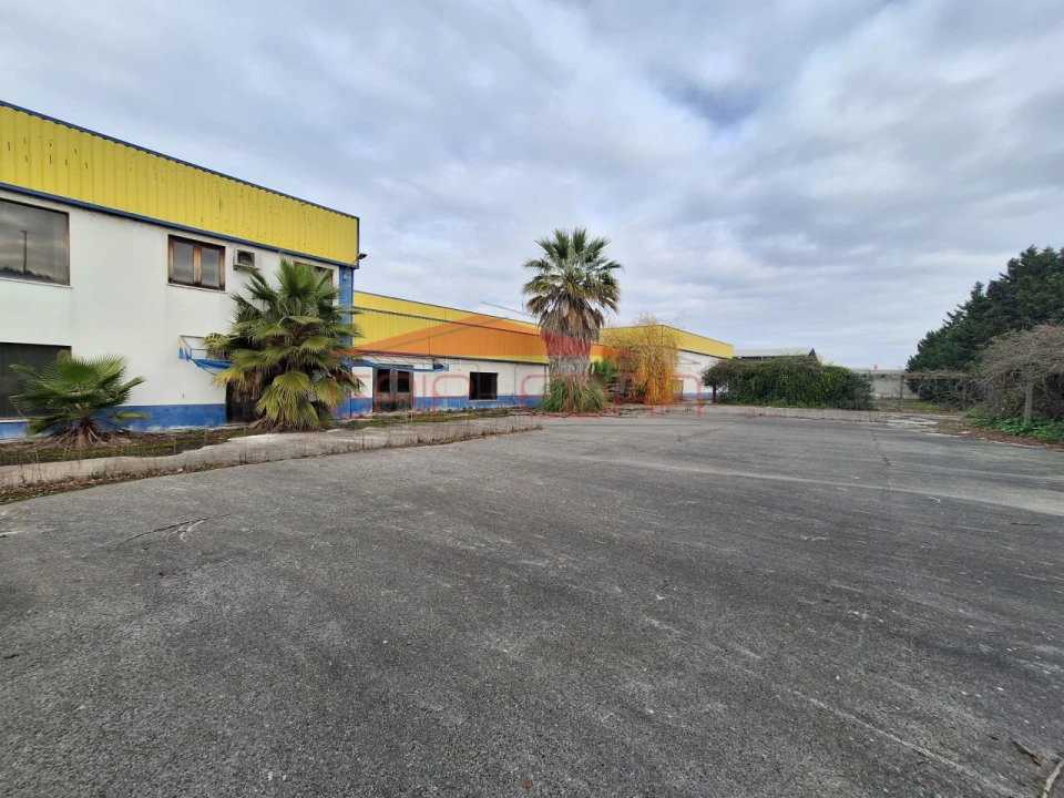 Armazém para Venda em Chamusca e Pinheiro Grande Foto 2