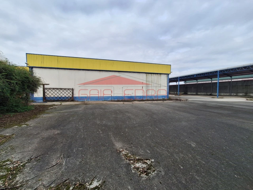 Armazém para Venda em Chamusca e Pinheiro Grande Foto 29