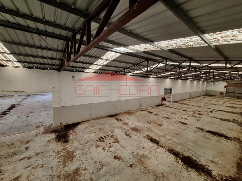 Armazém para Venda em Chamusca e Pinheiro Grande Foto 36