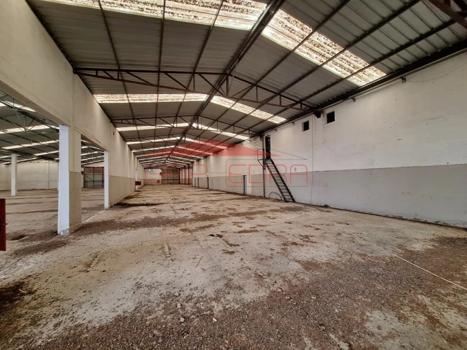 Armazém para Venda em Chamusca e Pinheiro Grande Foto 3