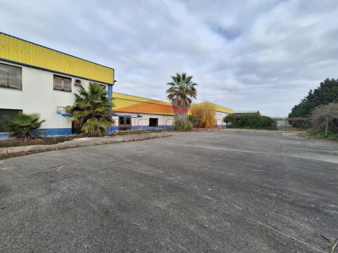 Armazém para Venda em Chamusca e Pinheiro Grande Foto 2