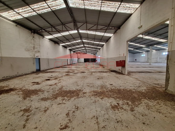 Armazém para Venda em Chamusca e Pinheiro Grande Foto 5