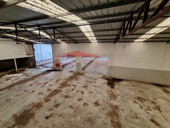 Armazém para Venda em Chamusca e Pinheiro Grande Foto 8