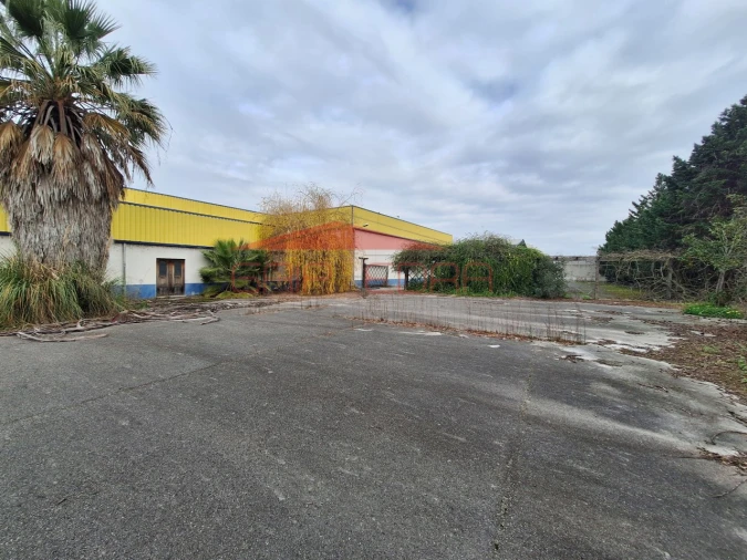 Armazém para Venda em Chamusca e Pinheiro Grande Foto 28