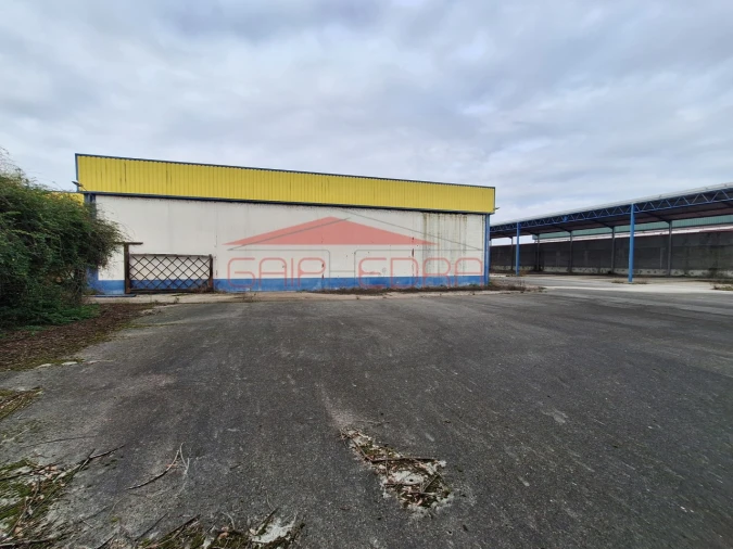 Armazém para Venda em Chamusca e Pinheiro Grande Foto 29