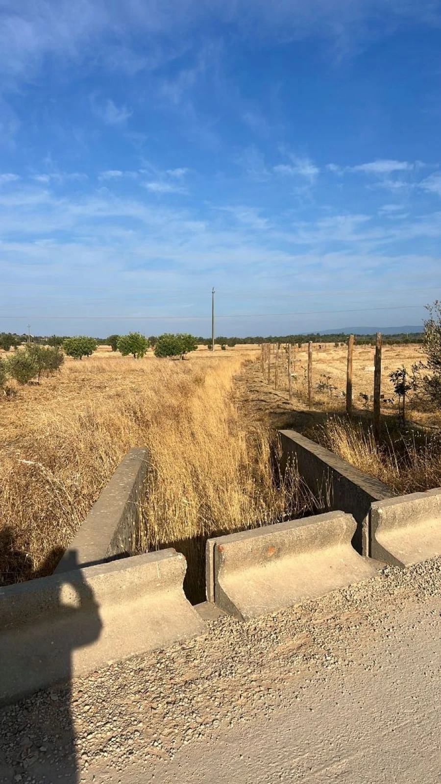 Terreno Agricola ou Rústico para Venda em Alcantarilha e Pêra Foto 5