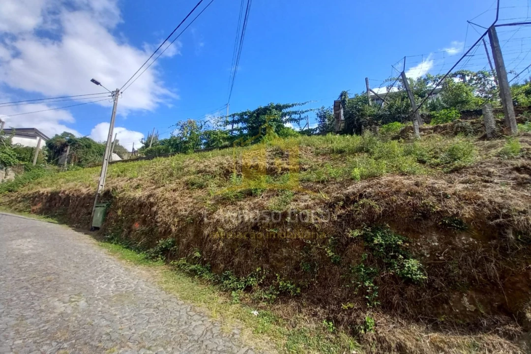Terreno para Venda em Sobradelo da Goma Foto 5