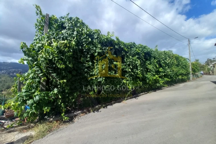 Terreno para Venda em Sobradelo da Goma Foto 3