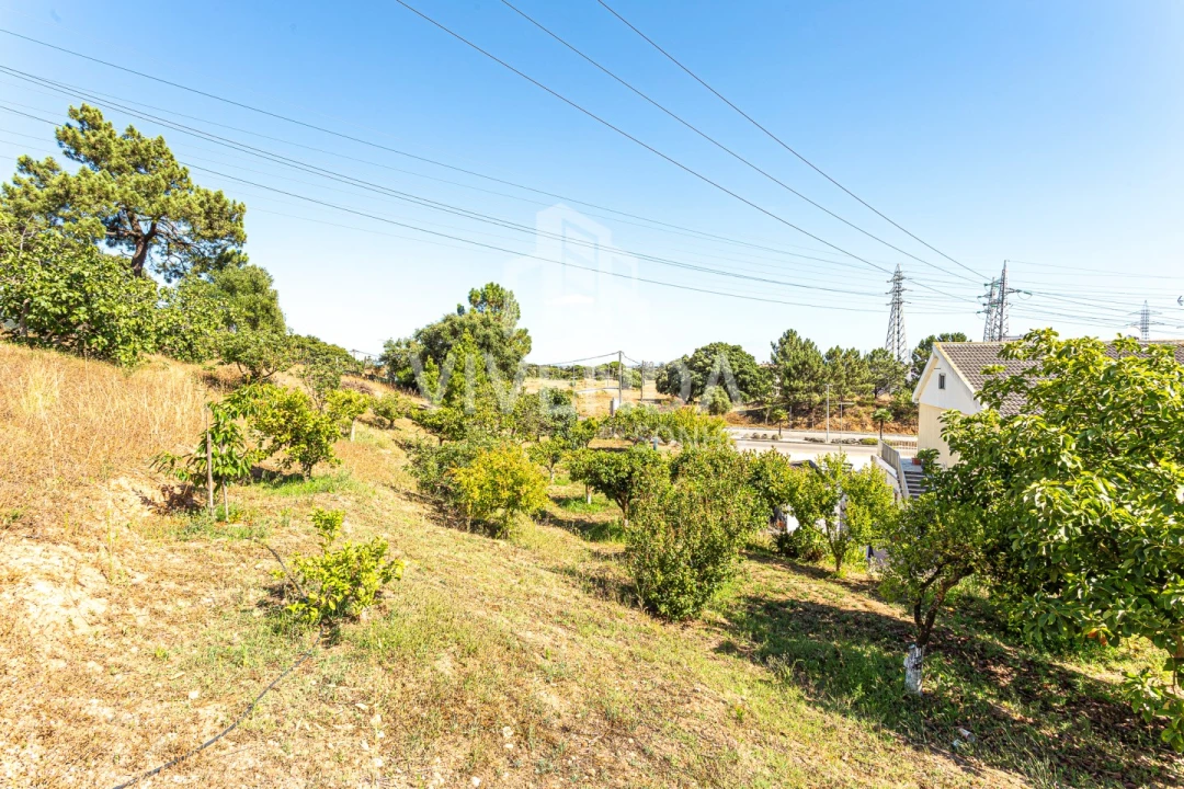 Moradia T3 para Venda em Gambia-Pontes-Alto da Guerra Foto 7