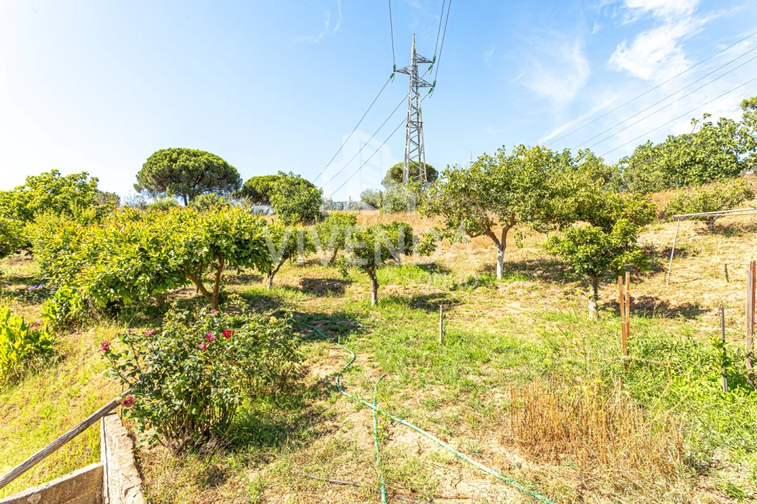 Moradia T3 para Venda em Gambia-Pontes-Alto da Guerra Foto 8