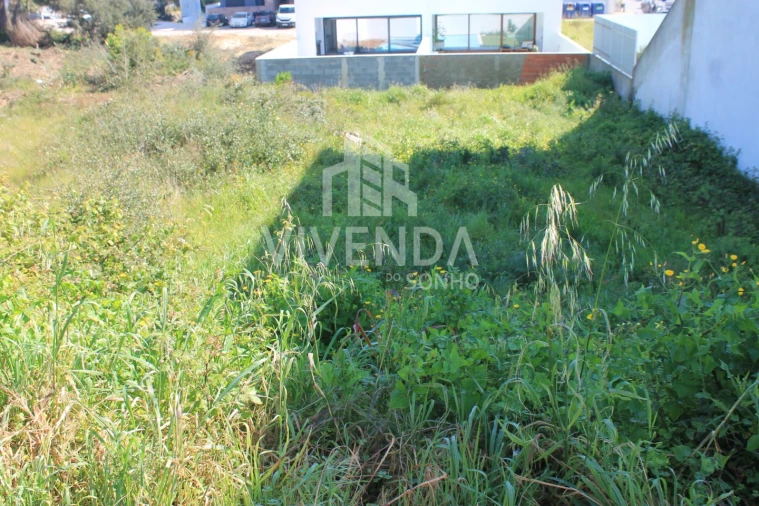 Terreno para Venda em Gambia-Pontes-Alto da Guerra Foto 4