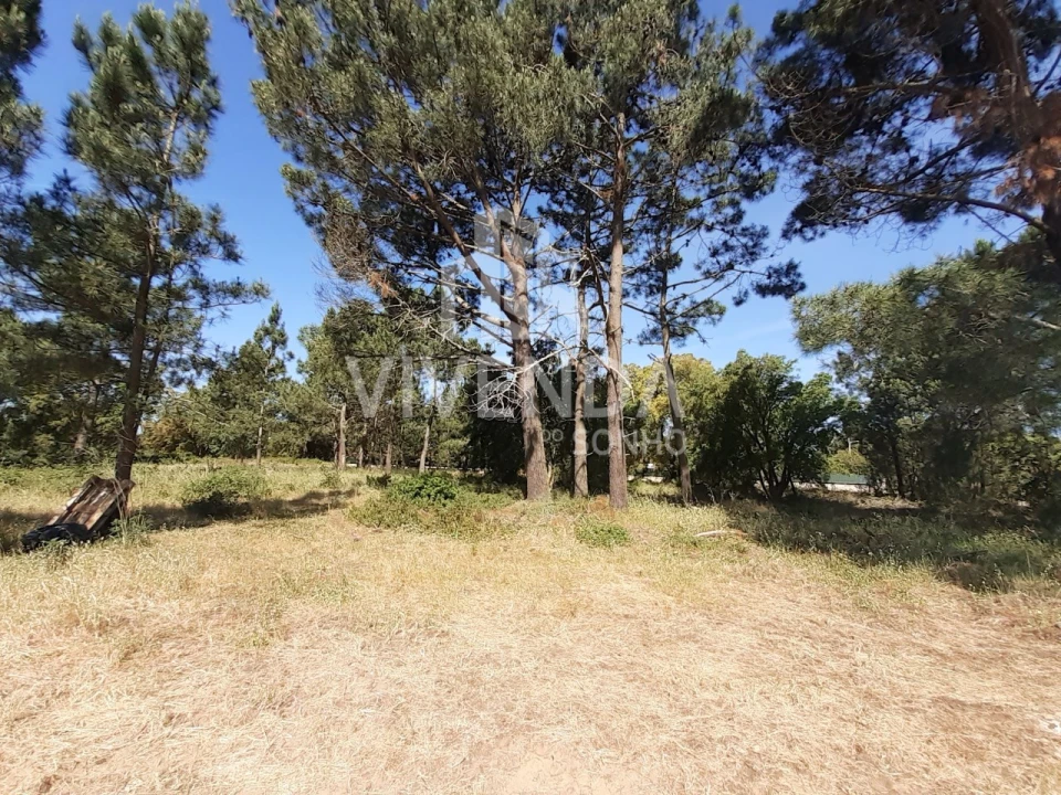 Moradia T3 para Venda em Sesimbra (Castelo) Foto 10