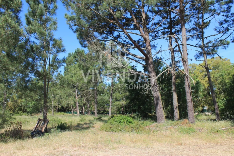 Moradia T3 para Venda em Sesimbra (Castelo) Foto 12