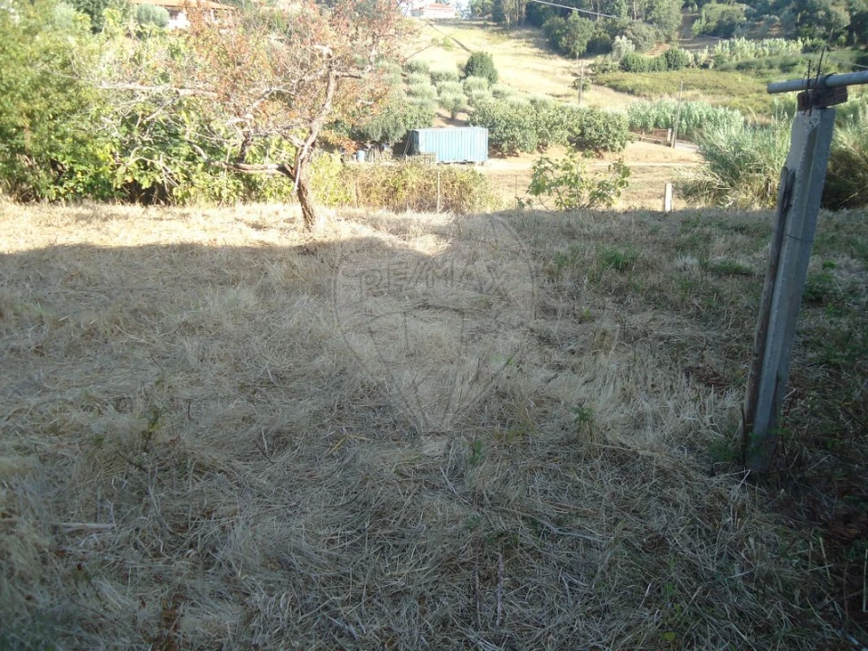 Terreno para Venda em Maiorga Foto 8