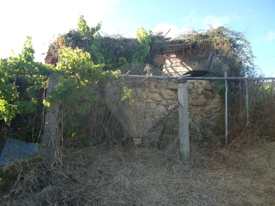 Terreno para Venda em Maiorga Foto 9
