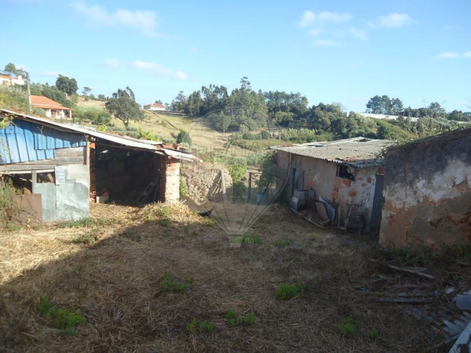 Terreno para Venda em Maiorga Foto 7