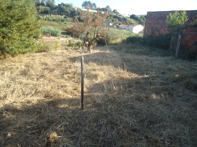 Terreno para Venda em Maiorga Foto 14