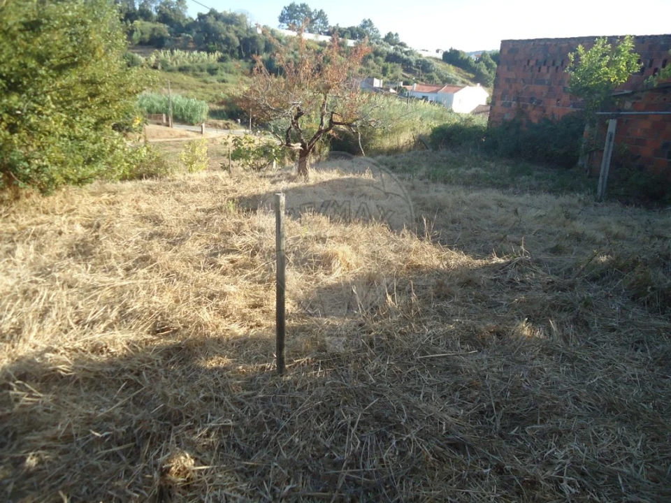 Terreno para Venda em Maiorga Foto 14