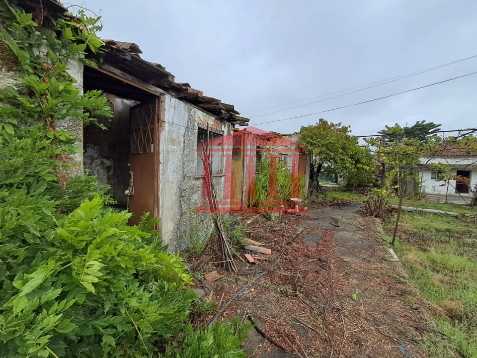 Moradia T4 para Venda em Galegos (Santa Maria) Foto 13