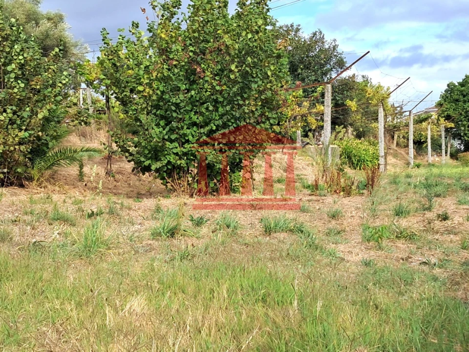 Moradia T4 para Venda em Galegos (Santa Maria) Foto 16