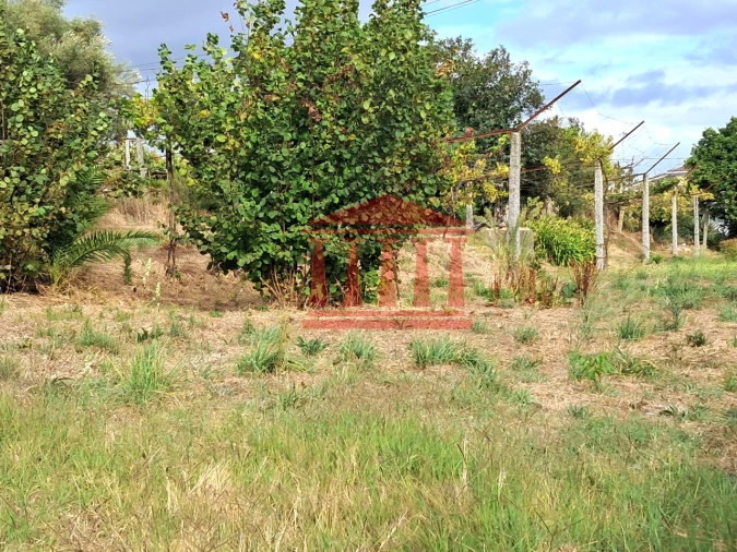 Moradia T4 para Venda em Galegos (Santa Maria) Foto 16