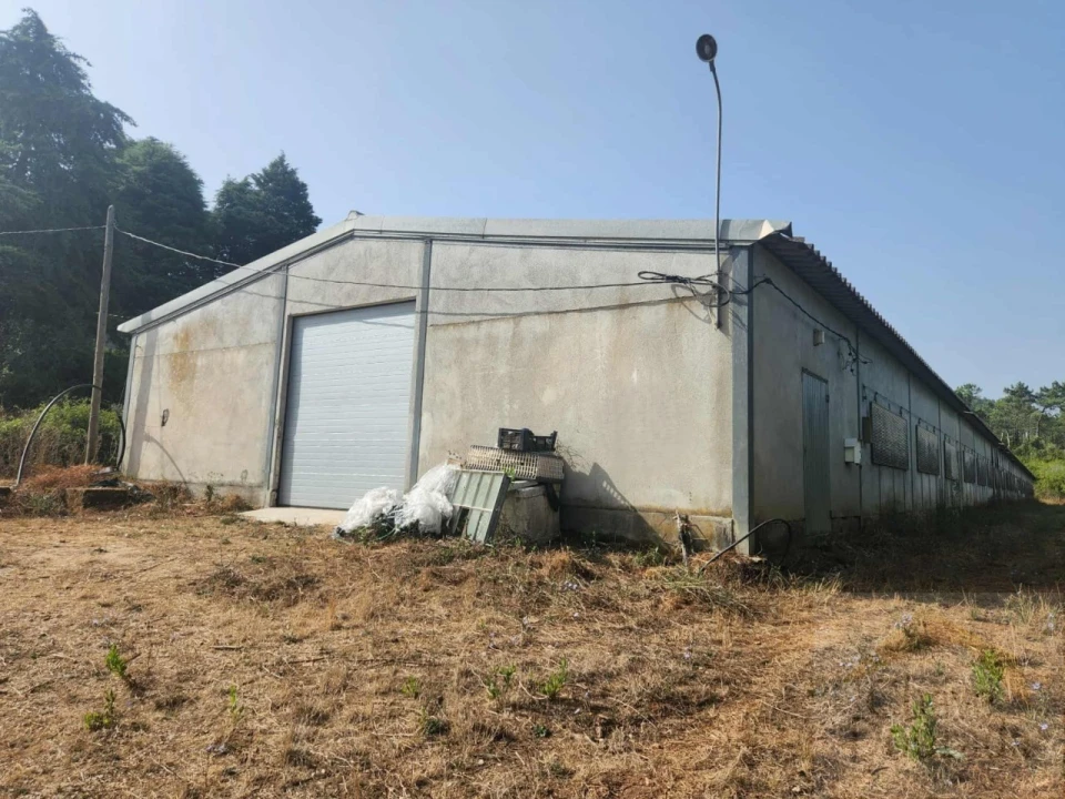 Armazém para Arrendamento em Almalagues Foto 1